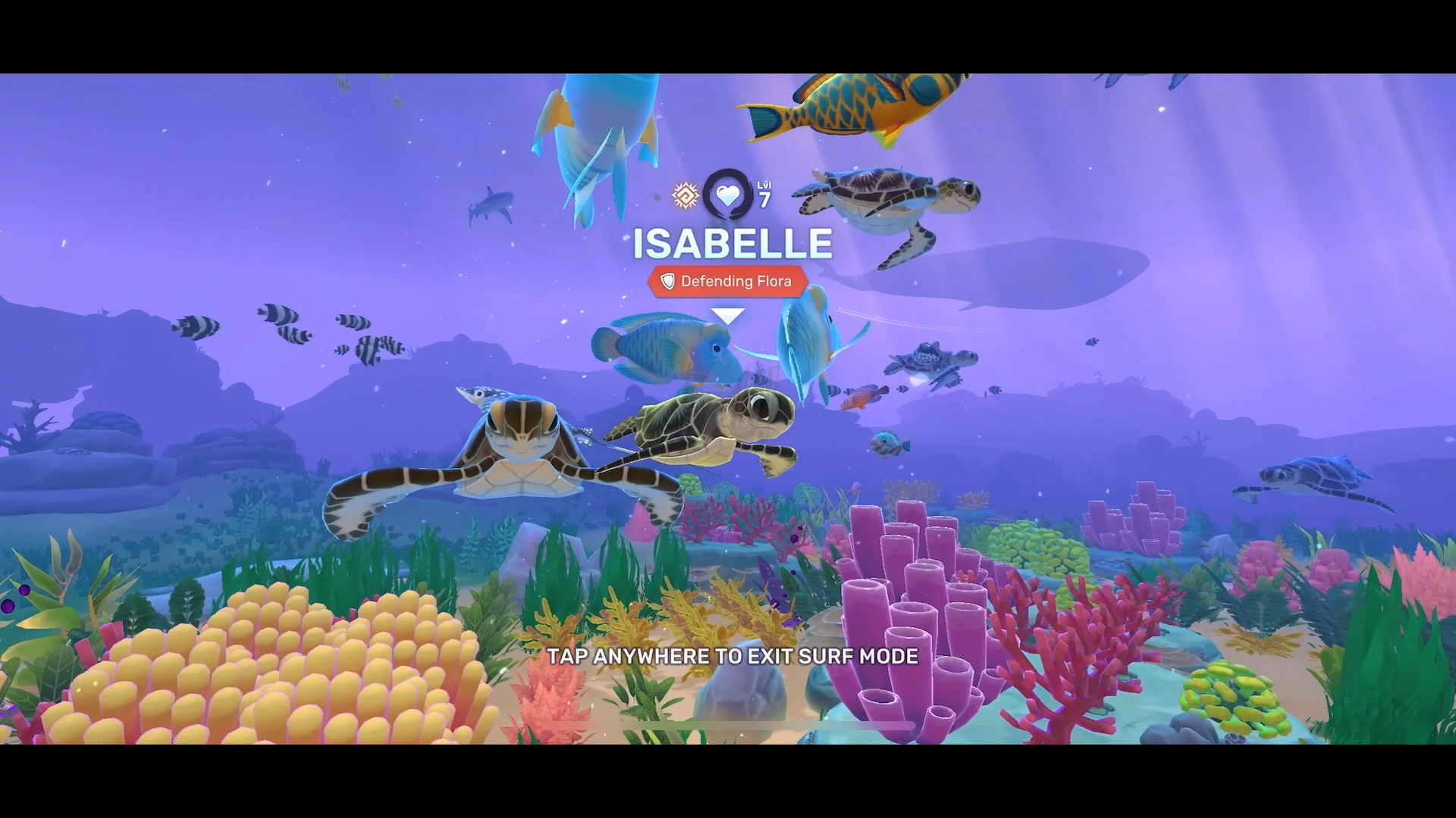 Isabelle_the_turtle