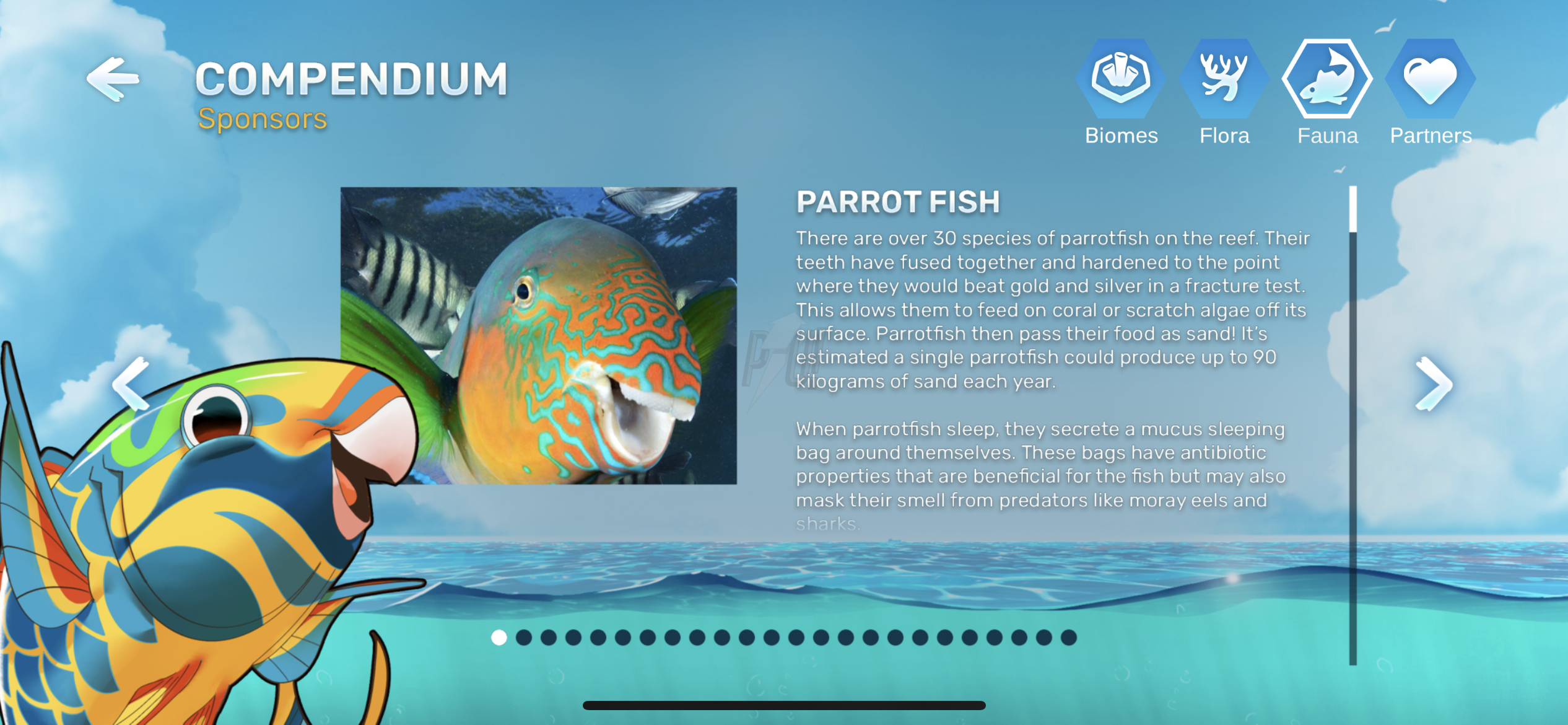 Parrot_Fish_Info
