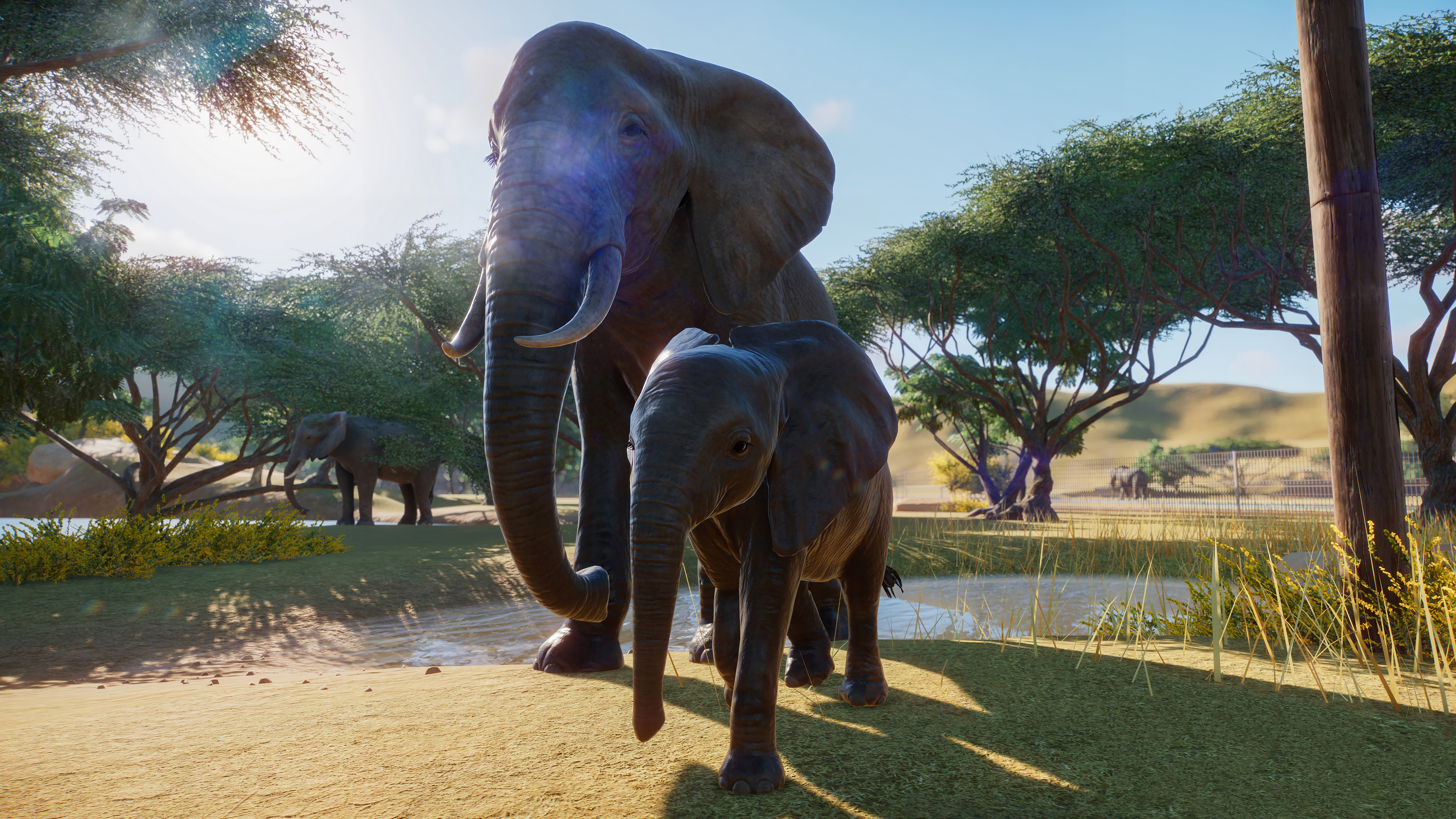 PZ_African Elephant_1_4K
