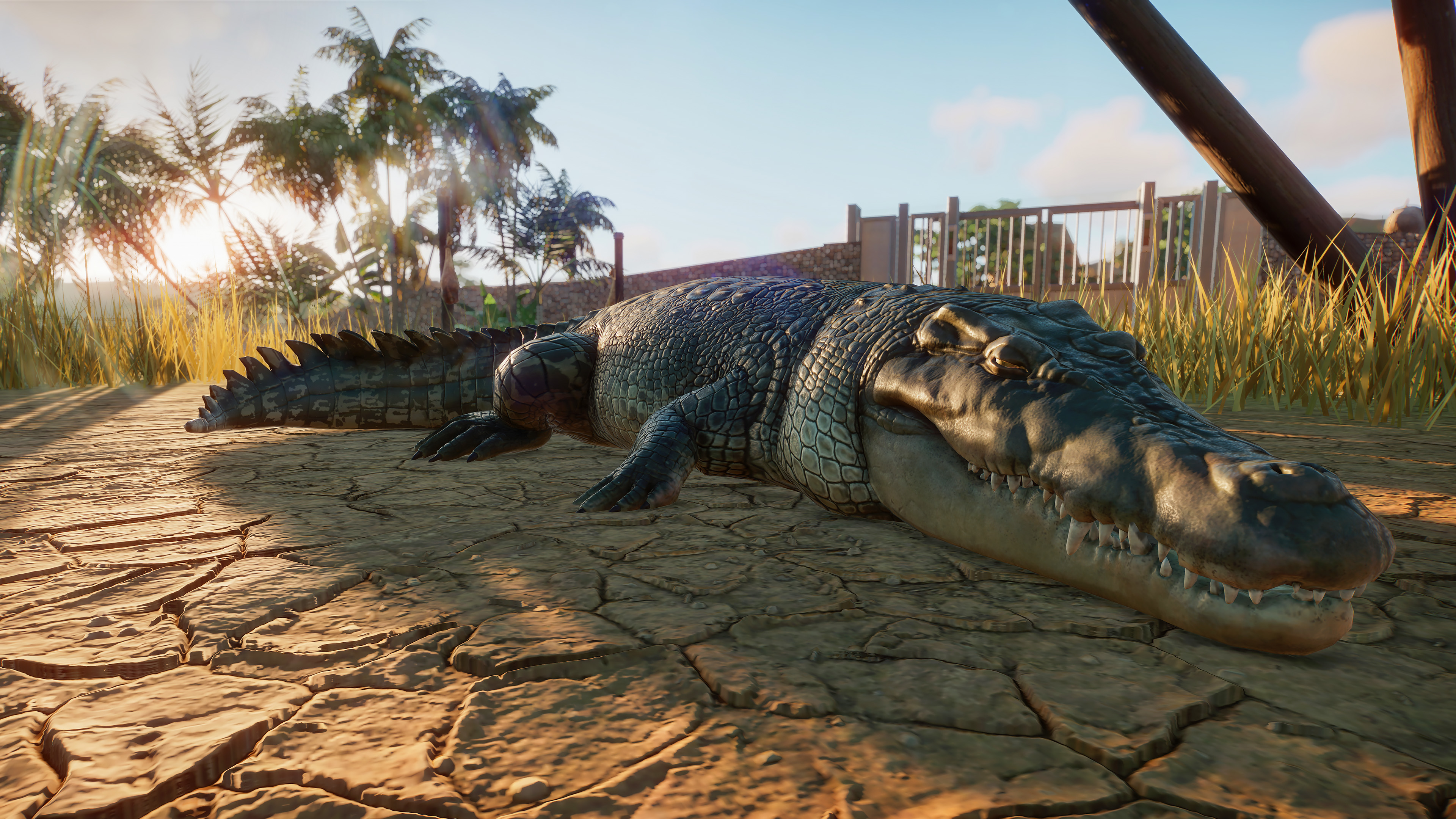 PZ_Saltwater Crocodile_1_4K